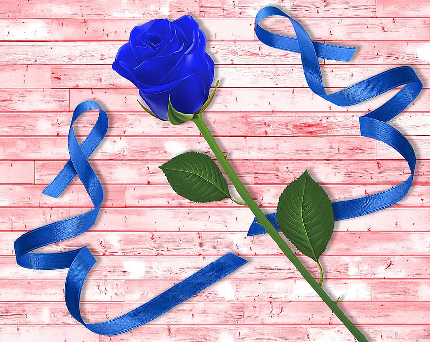 mur, Couleur, plante, été, fleur, rose bleu, bois, ruban, bleu