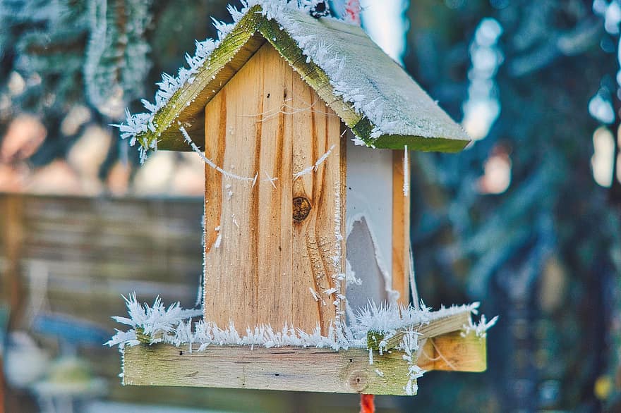 σπίτι πουλιών, χειμώνας, χιόνι, ξύλο, birdhouse, δέντρο, ζωική φωλιά, γκρο πλαν, αγροτική σκηνή, δάσος, εποχή