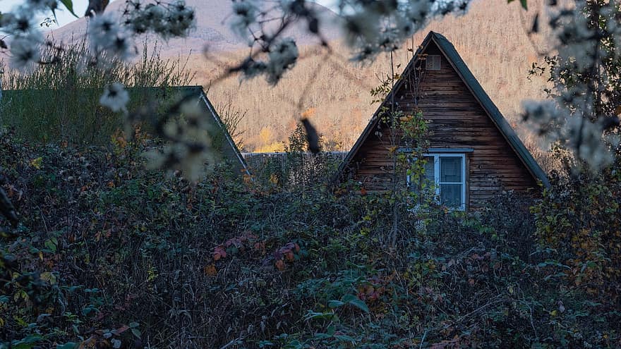 Haus, Wald, Hütte, Cottagecore, Landschaft, ländlich, ländliche Szene, Fenster, die Architektur, Holz, Baum