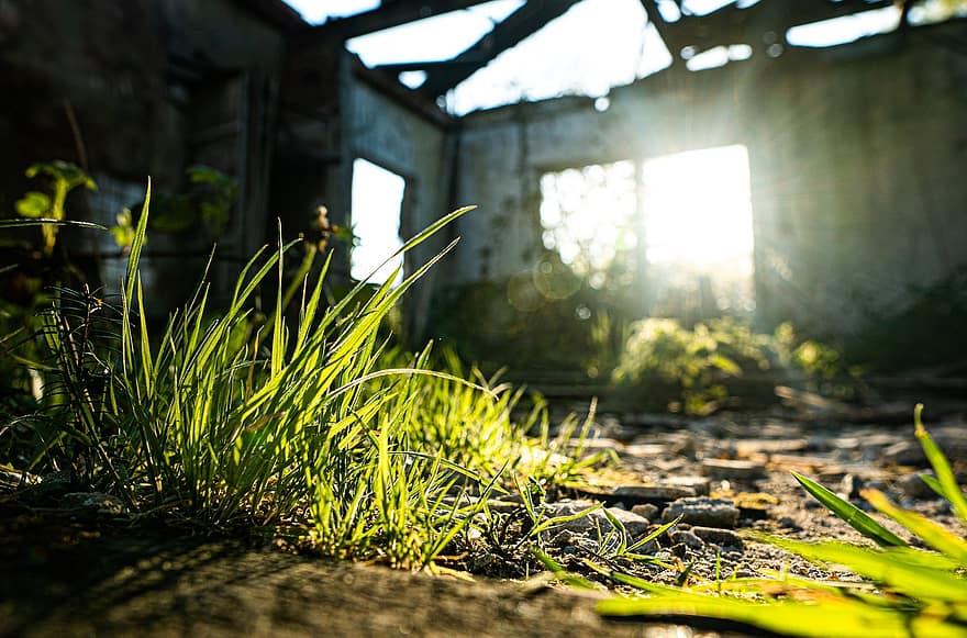 casa abandonada, edificio en ruinas, escombros, edificio, luz del sol, resplandor del sol, luz, hierba, color verde, planta, verano