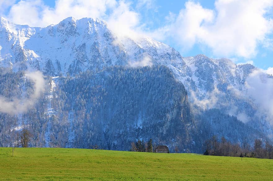 hory, mraky, louka, stromy, švýcarsko, Bernská vysočina, Přírodní park Gantrisch, Alpy, sníh