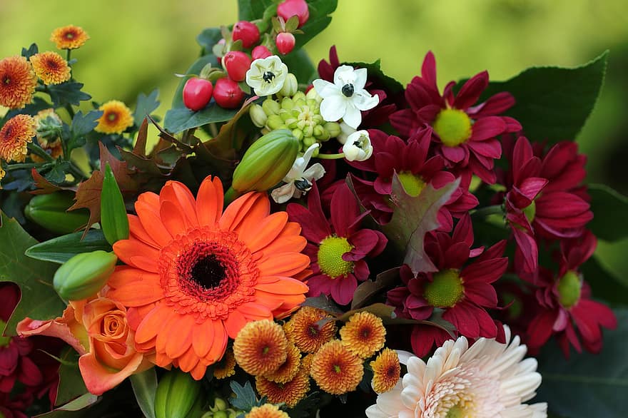 gėlės, puokštė, gėlių kompozicija, apdaila, pobūdį, flora, gerbera, gėlė, augalų, Iš arti, vasara