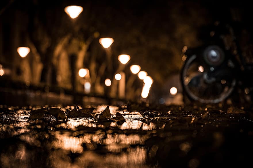 灯籠、葉、夜、自転車