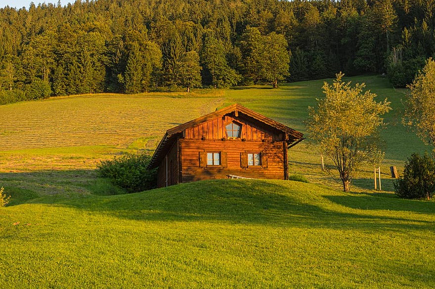 Nhà ở miền quê, cabin, túp lều, ngôi nhà tranh, cánh đồng, cỏ, đồng cỏ, núi