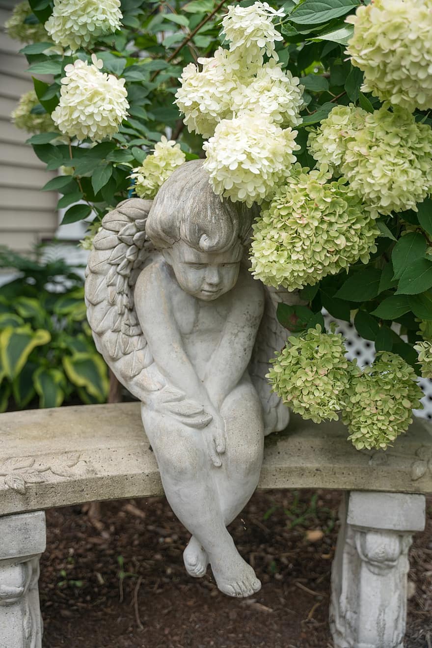 ангел, статуя, скулптура, цветя, растение, Хортензия снежна топка