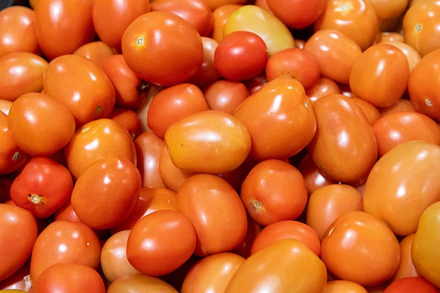 토마토, 야채, 식품, 생기게 하다, 수확, 본질적인, 건강한, 영양물 섭취, 익은, 더미