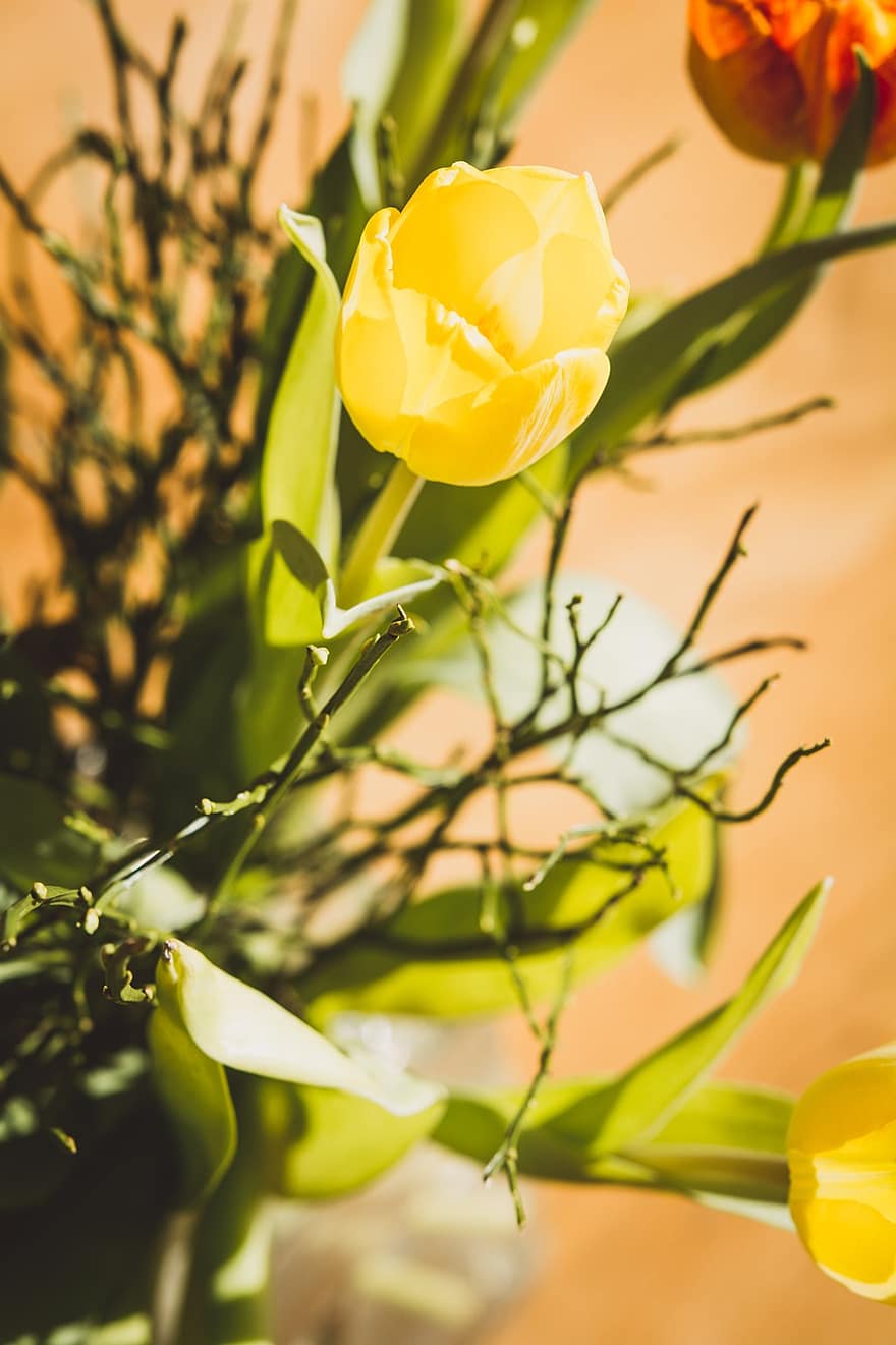 tulipani, tulipani gialli, fiori gialli, fiori, fiorire, fioritura, un mazzo di fiori, vaso, vaso di fiori, mazzo, tulipano