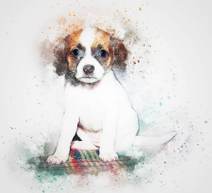 hund, dyr, sidder, kunst, abstrakt, akvarel, årgang, farverig, kæledyr, hundehvalp, T-shirt