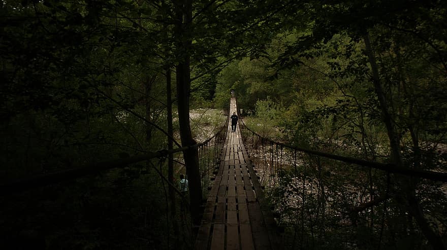 puente, río, naturaleza, bosque, aventuras, viaje, exploración, sendero, árbol, hombres, para caminar