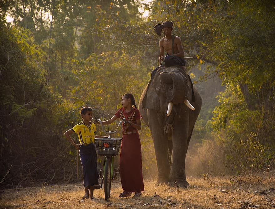 elefánt, lány, fiú, kerékpár, lovagol, Mianmarban