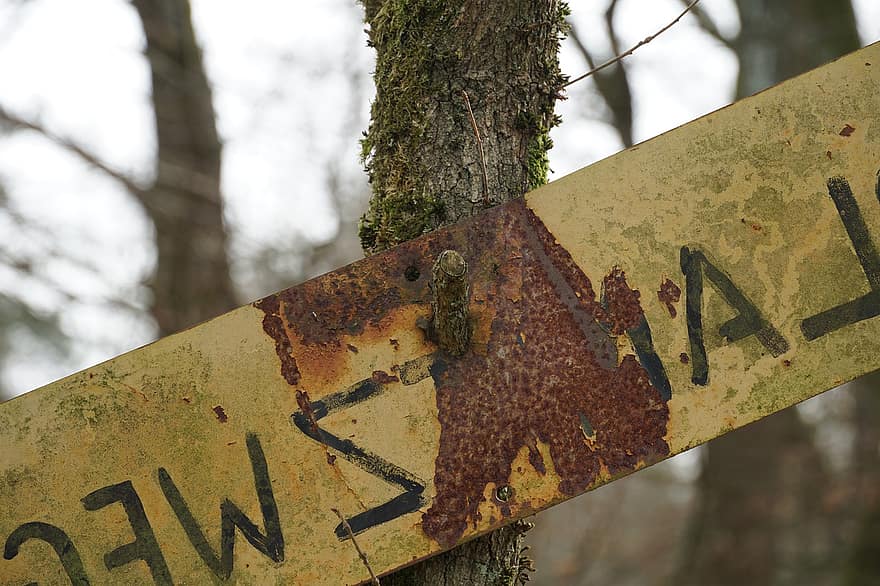 Tree, Sign, Rust, Branch, Nature, old, rusty, dirty, forest, metal, weathered