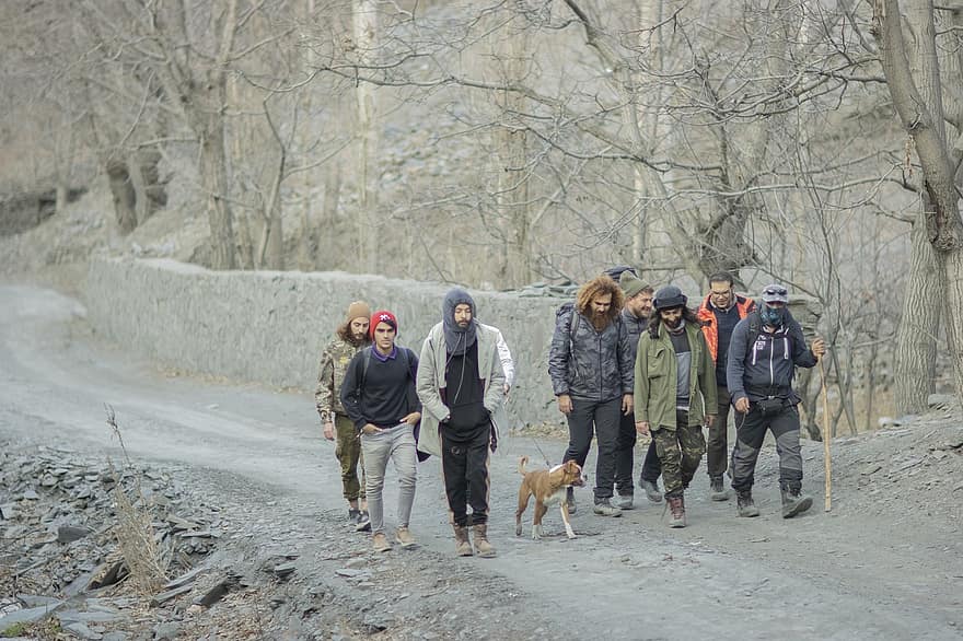 दोस्त, लंबी पैदल यात्रा, ईरान, मशहद शहर, सर्दी, घूमना, कुत्ता, पुरुषों, साहसिक, वन, हिमपात