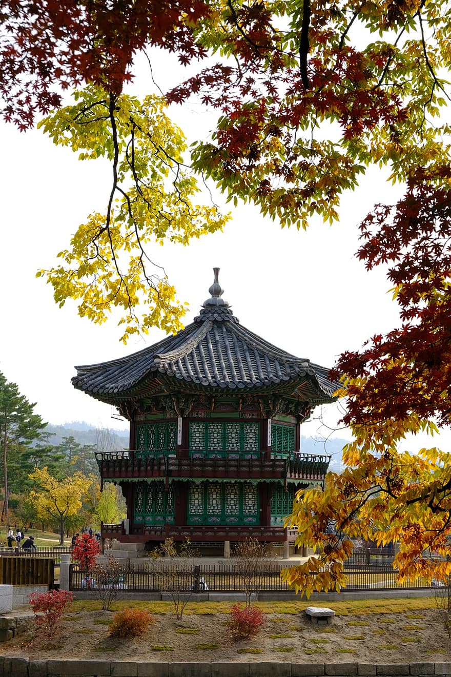 Natura, jesień, świątynia, pałac Gyeongbok, drzewo, dziedzictwo kulturowe