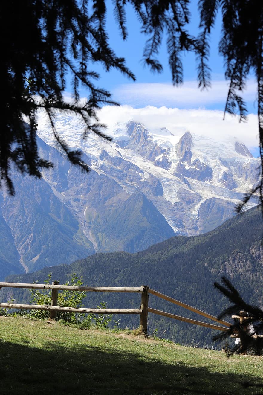 montanhas, neve, pasto, cerca, floresta, arvores, sai, folhagem, Mont Blanc