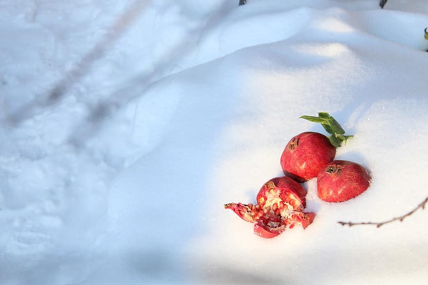 Fruta, granada, orgánico, invierno, nieve, temporada, sano, de cerca, frescura, hoja, comida