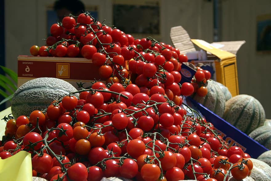 cà chua, hữu cơ, trái cây, món ăn, tươi, trưởng thành