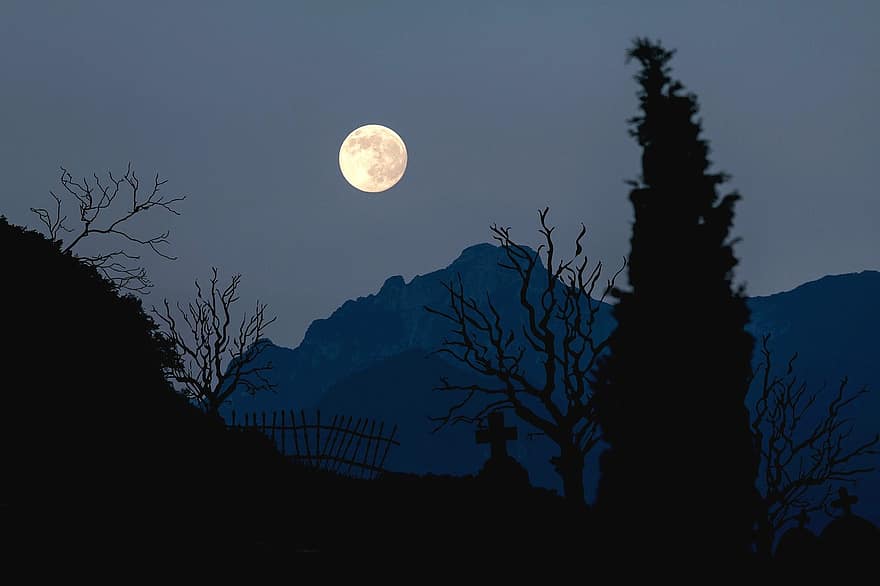 lluna, lluna plena, nit de la lluna, atmosfera, crepuscle, horitzó, cel, muntanyes, arbres, foscor, horripilant