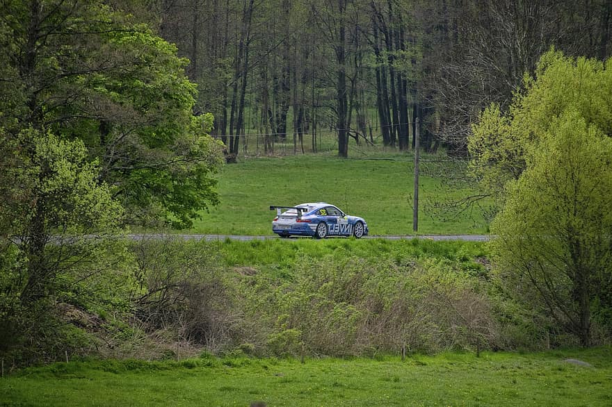 Country, Car, Rally, Vehicle, Race, Autosport, Forest, Trees, Rural, speed, sport
