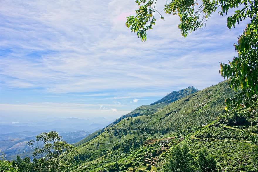 Escalera del diablo, Montañas de Sri Lanka, Sri Lanka Tea Estate, colina, pico, rock, paisaje, bosque, escénico, fondo, azul