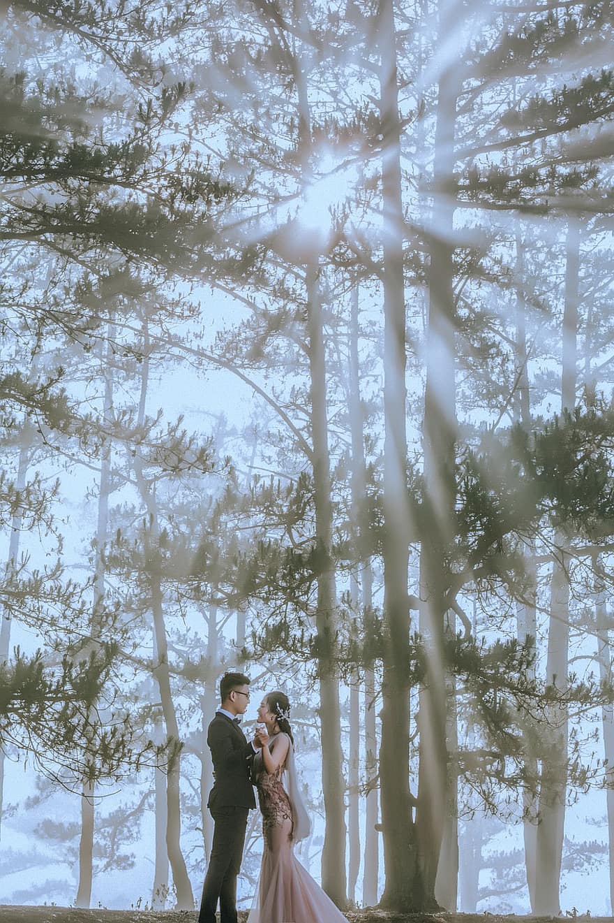 Couple, Wedding, Forest, Sunlight, Trees, Nature, Bride, Groom, Romantic, Newly Married, Wedding Day