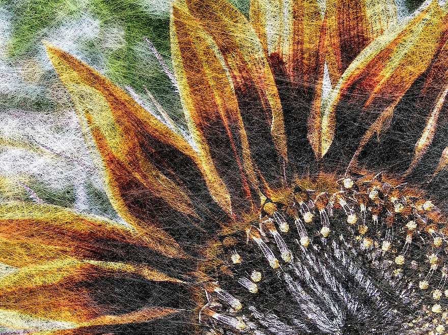 slunečnice, umění, květ, malování