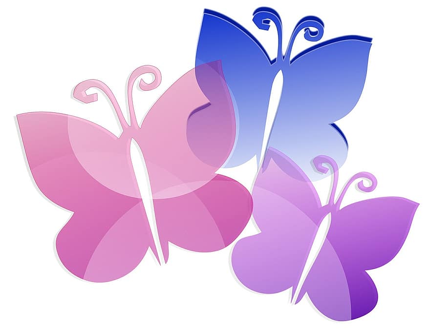 fjärilar, söt, mjuk, rosa, blå