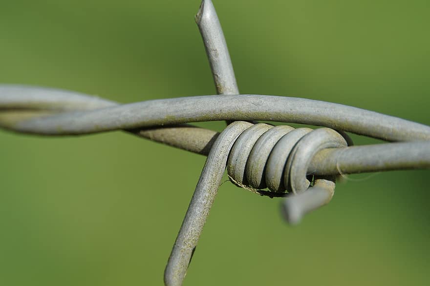 alambre de espino, cerca, espina, retorcido, Extremos de alambre, metal, de cerca, color verde, macro, acero, oxidado