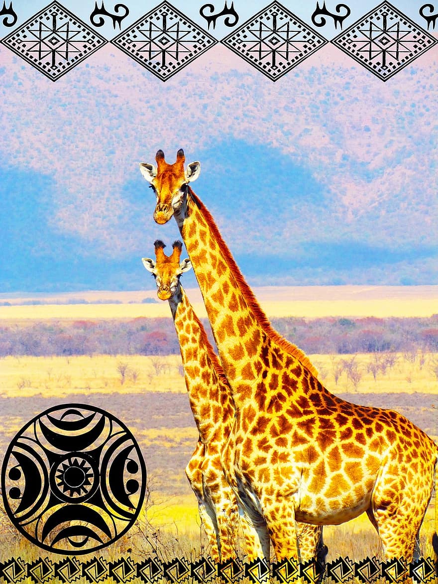 girafe, Afrique, safari, été, Soleil, la nature, graphique, Ethnographique, ethnologique, des symboles, paysage
