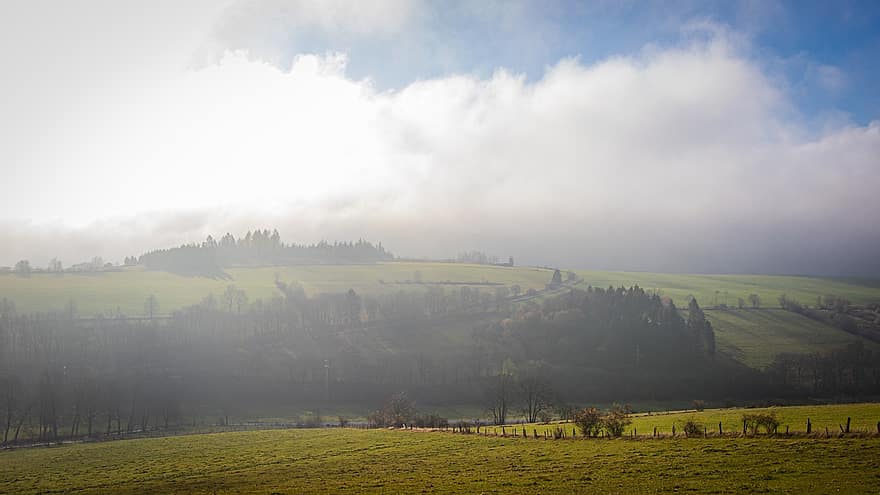 colline, forêt, brouillard, feuilles, tomber, une randonnée, la nature, silencieux, Sauerland, scène rurale, paysage
