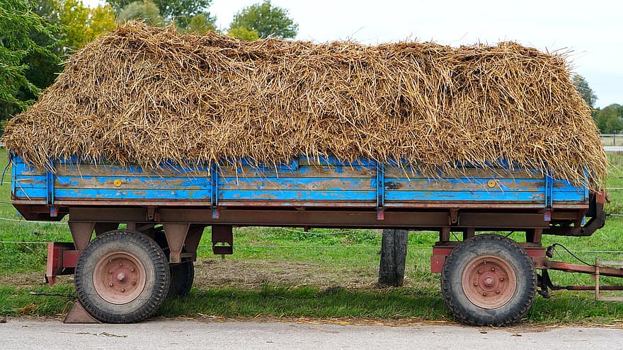 Wagon, Straw, Hay, Hay Wagon, Agriculture, Harvest, Farm, Farming, Rural, Transport