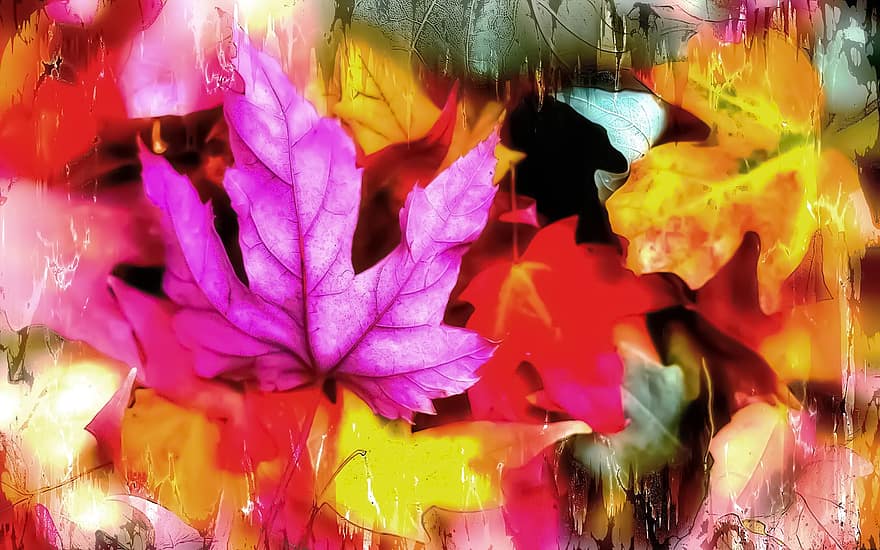 ألوان الخريف ، اوراق اشجار ، لوحة