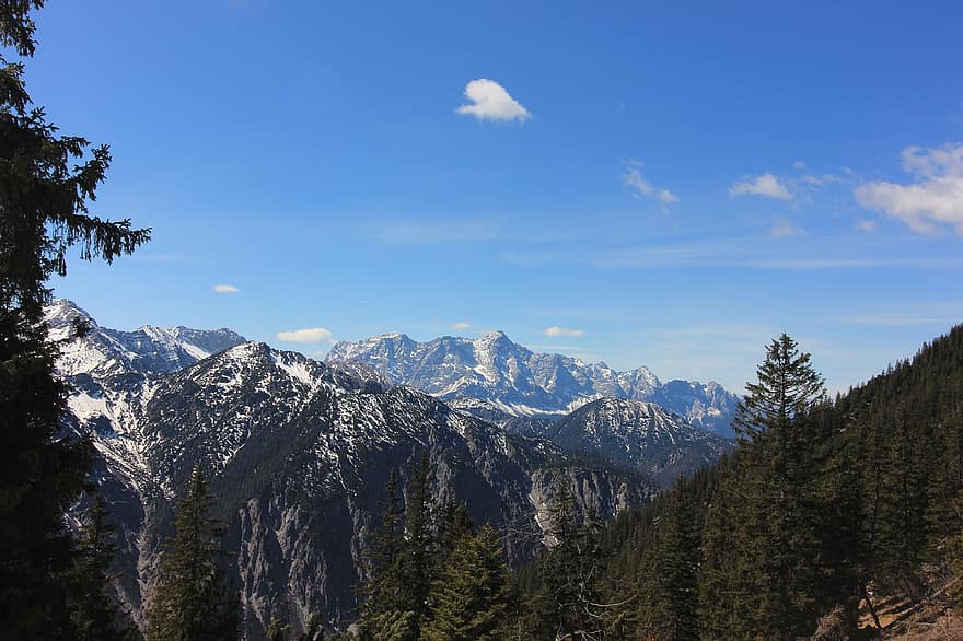 Zugspitze, ภูเขา, Allgäu, Tyrol, ภูเขาแอลป์, ธรรมชาติ, ทัศนียภาพ, ป่า, หิมะ, ยอดเขา, สีน้ำเงิน