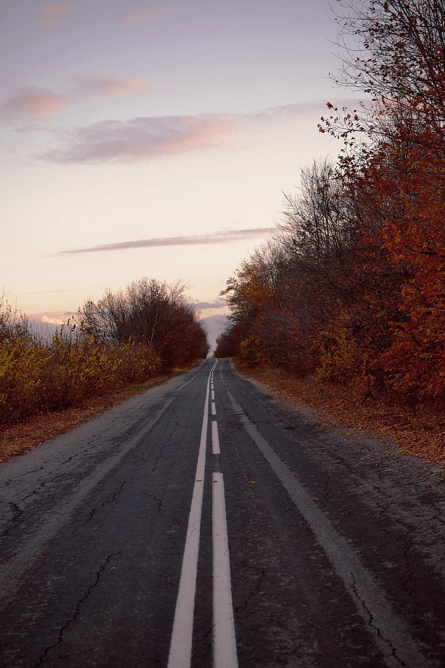 la carretera, autopista, camino, asfalto, otoño