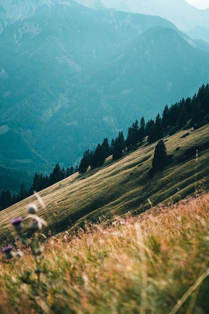 montanhas, Alpes, Áustria, panorama, vista panorâmica, ao ar livre, caminhar