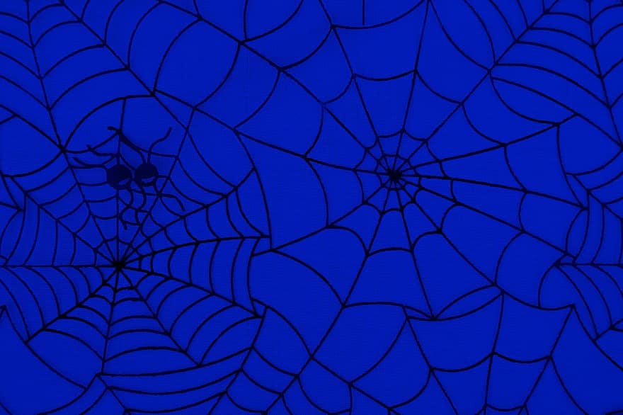 edderkopper, edderkoppespind, spindelvæv, baggrund, mørk, halloween, insekt, net, silhuet, uhyggelig, web