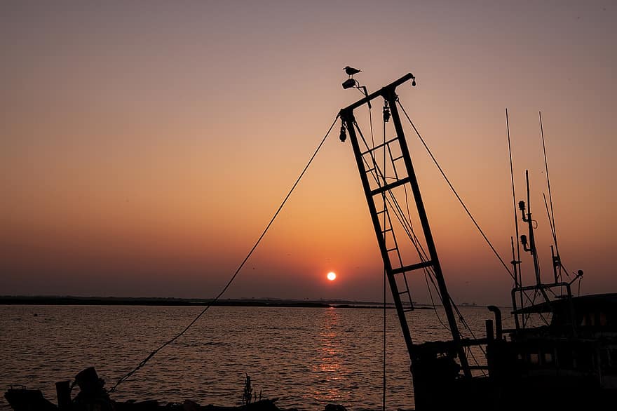 Sunset, Sea, Ship, Seagull, Bird, Animal, Fishing Boat, Ocean, Nature, Sun, Sunlight