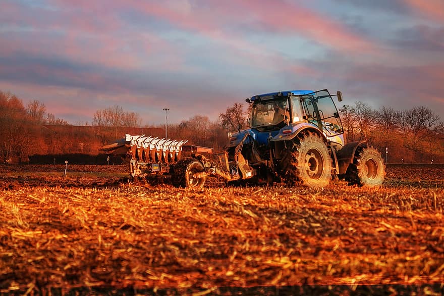 traktor, pole, zemědělství, venkovský, hospodařit, venkovské scény, pracovní, stroje, zařízení, zemědělské stroje, sklizně