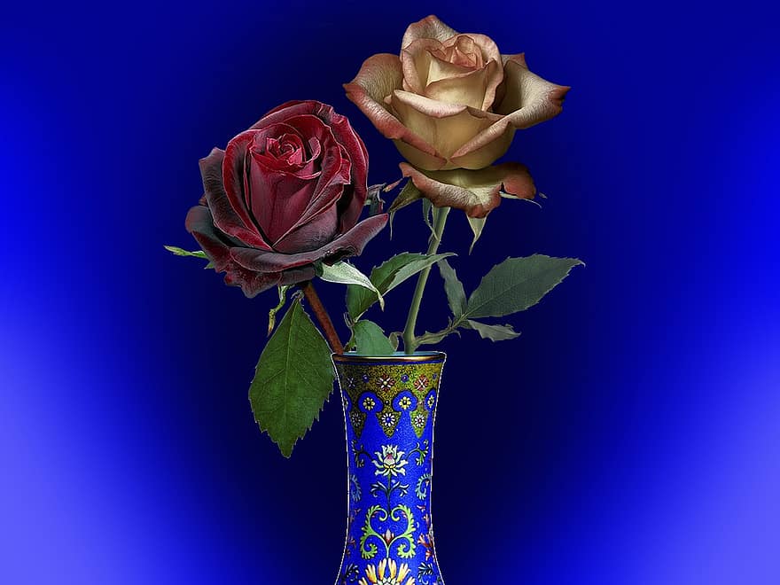 roser, blomster, vase, dekoration, kronblade, flor, blade, plante, dekorative