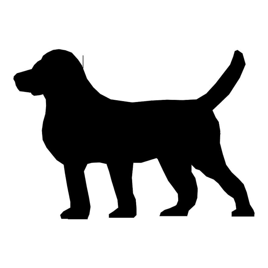 hond, tekening, schetsen, ras, wit, sterk, zwart, sterkte, loyaliteit, werkend, rasecht