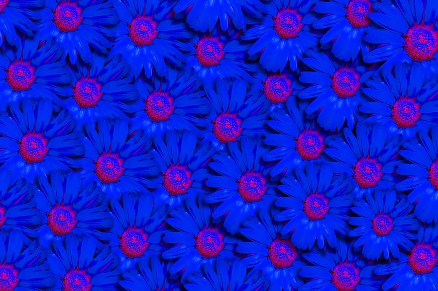 Mandala, digitale Kunst, Hintergrund, Blumen, Blumenmotiv, Tiefenansicht, Blau, Muster, Hintergründe, Dekoration, abstrakt