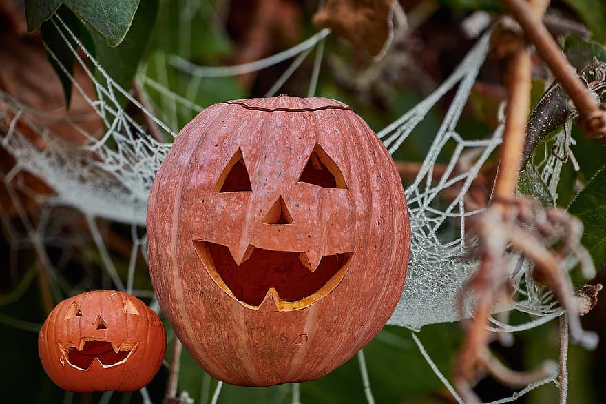Хелоуин, издълбана тиква, тиква, есен, октомври, зловещ, сезон, ужас, украса, листо, празненство