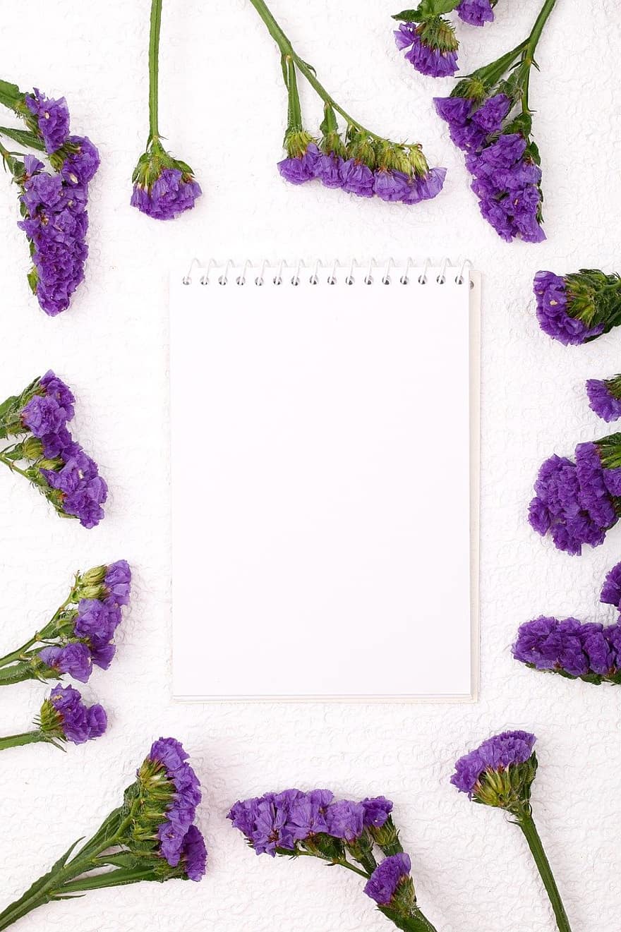blomster, baggrund, notesblok, notesbog, papir, ramme, lavendel, statice, kronblade, flor, plante