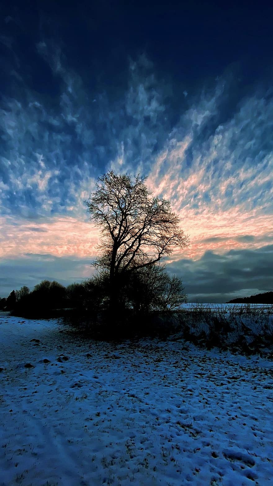 boom, winterlandschap, winter, sneeuw, humeur, avondstemming, hemel, wolken, natuur, licht, blauw