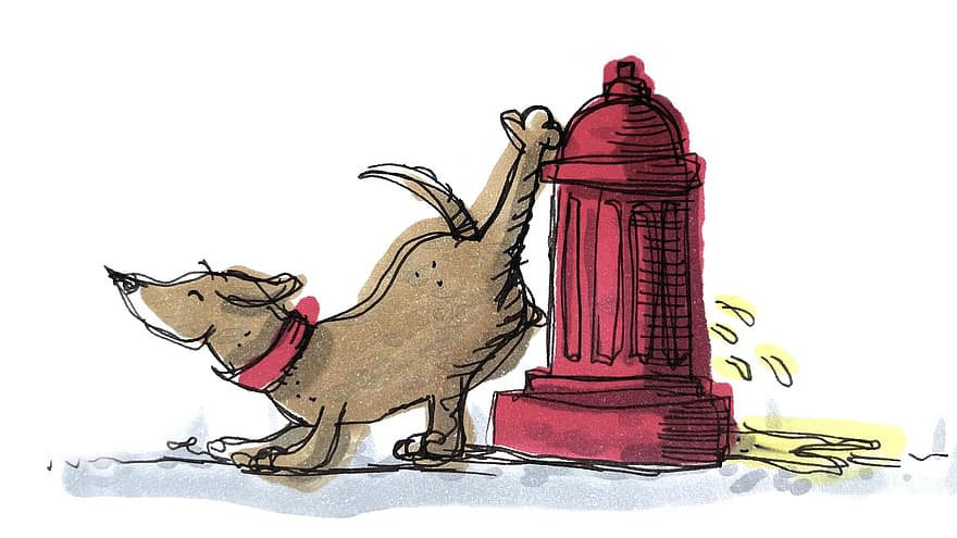 câine, hidrant, a urina, animal de companie, animal