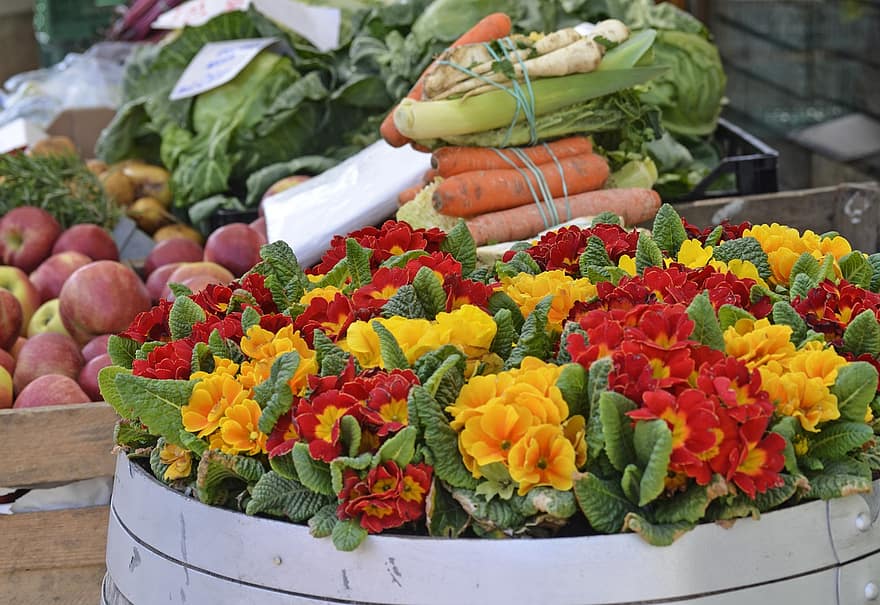 Geschäft, Gemüse, Möhren, Obst, Frische, mehrfarbig, Variation, Blatt, Blume, Landwirtschaft, Lebensmittel