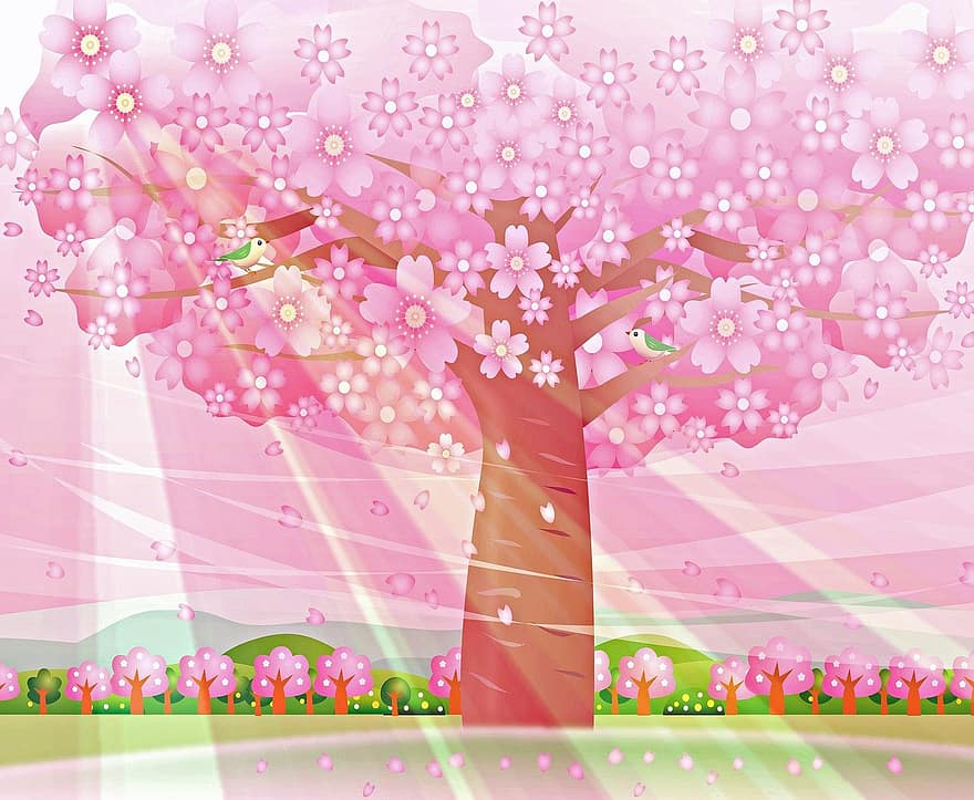 Pavasara fons, sakura, ķiršu koks, saules stari, kawaii, pavasarī, koks, atmosfērā, fantāzija, filiāle, ķirsis