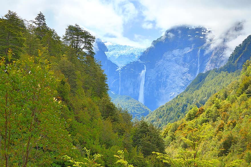 carretera austral, Chili, Patagonië, gletsjer, natuur, watervallen, Chileens, zuiden, Puyuhuapi, Nationaal park Queluat, Bos
