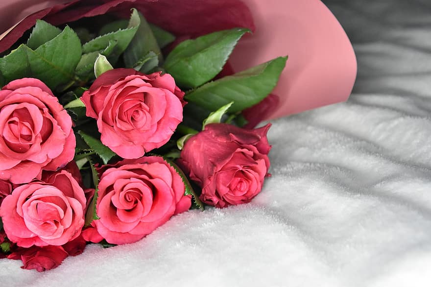 bukett, ro, blommor, rosa rosor, rosa blommor, kärlek, romantisk, blomma, skönhet, närbild