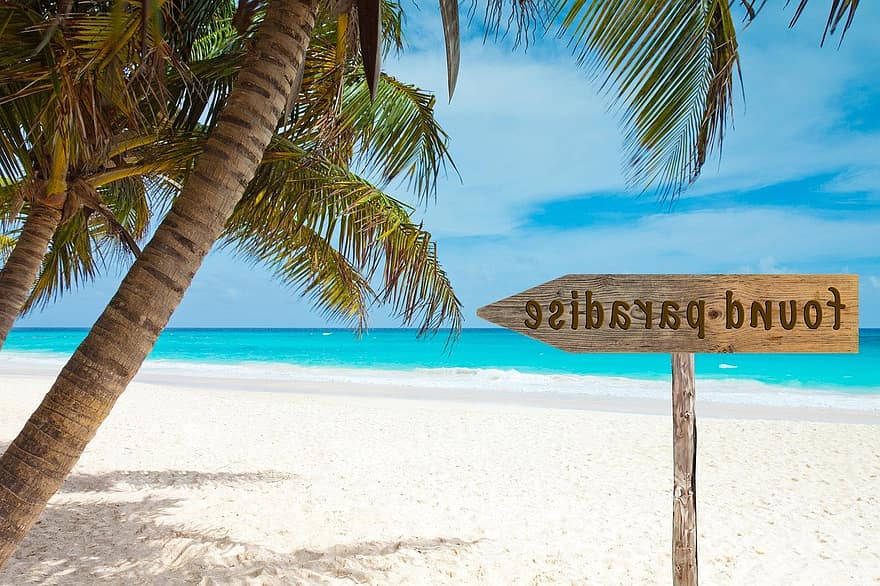 strand, zee, palmboom, paradijs, eiland, tropisch, informatiebord, wegwijzer, houten bordje, pijl, doel
