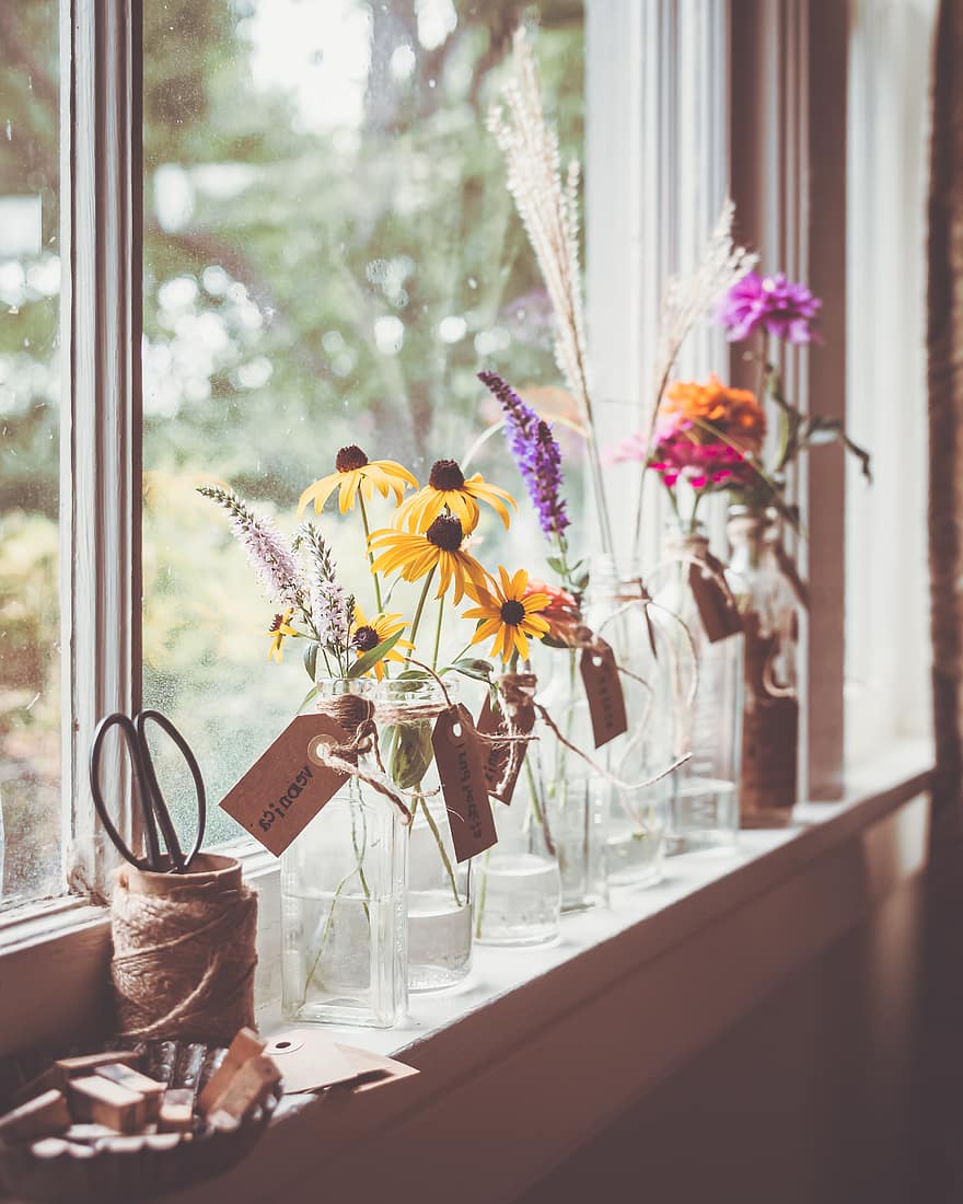 flower, vase, window, plant, glass, fresh, room, interior, decoration, daytime, flowerpot